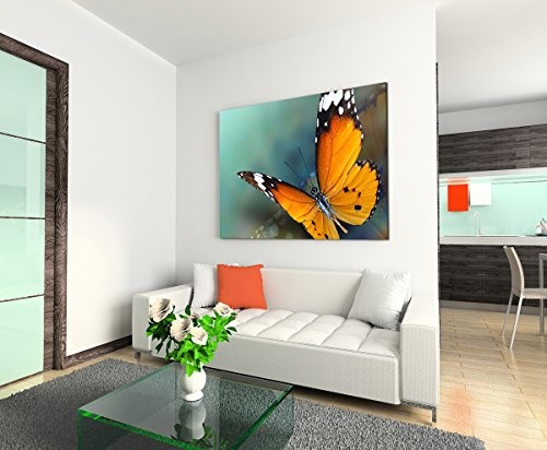 Sinus Art Wandbild 120x80cm Tierfotografie - Kleiner Monarch Schmetterling