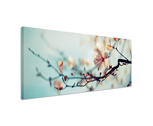 Panoramabild 150x50cm Naturfotografie - Kirschblüten vor blauem Himmel auf Leinwand exklusives Wandbild moderne Fotografie für ihre Wand in vielen Größen