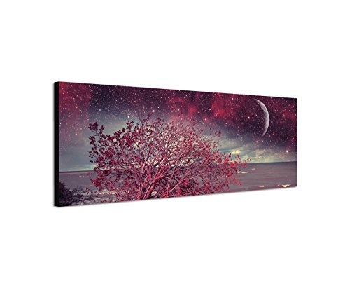 Augenblicke Wandbilder Keilrahmenbild Wandbild 150x50cm Meer Küste Busch Nacht Sterne Mond