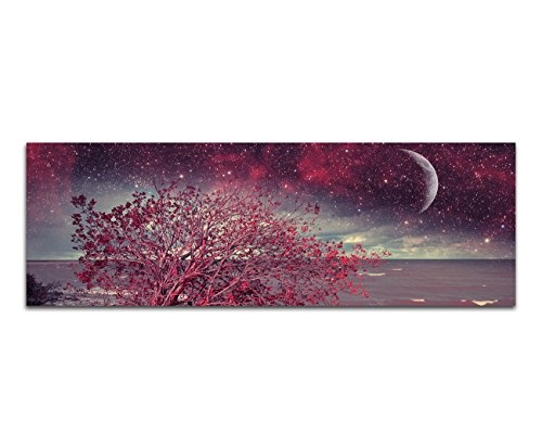 Augenblicke Wandbilder Keilrahmenbild Wandbild 150x50cm Meer Küste Busch Nacht Sterne Mond