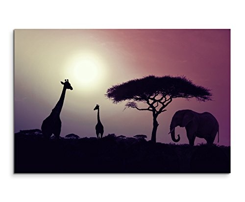 Augenblicke Wandbilder 120x80cm XXL riesige Bilder fertig gerahmt mit Echtholzrahmen in Mauve Sonnenuntergang Elefant und Giraffen Afrika