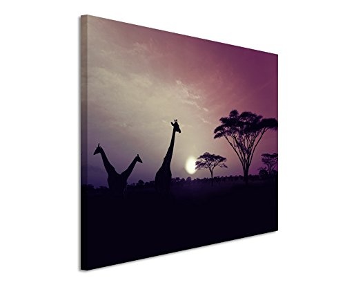 Augenblicke Wandbilder 120x80cm XXL riesige Bilder fertig gerahmt mit Echtholzrahmen in Mauve Sonnenuntergang Safari Giraffen Serengeti Nationalpark