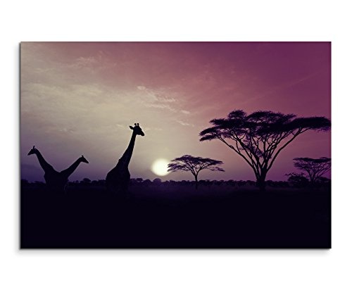 Augenblicke Wandbilder 120x80cm XXL riesige Bilder fertig gerahmt mit Echtholzrahmen in Mauve Sonnenuntergang Safari Giraffen Serengeti Nationalpark