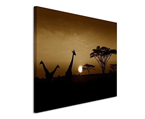 Augenblicke Wandbilder 120x80cm XXL riesige Bilder fertig gerahmt mit Keilrahmenin Sepia Sonnenuntergang Safari Giraffen Serengeti Nationalpark