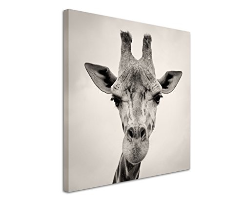 Fine Art Print auf Leinwand 90x90cm Tierbilder - Porträt einer Giraffe in Sepiafarben