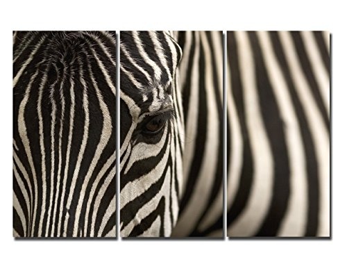 Leinwandbild Bild Zebra Augenblick Safari Zoo Afrika Steppe Savanne Deko Dekobild Wanddeko Deco Wandbild XXL mehrteilig dreiteilig Triptychon No.9 (80x120cm)
