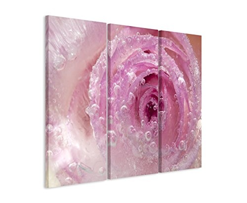 3 teiliges Leinwand-Bild 3x90x40cm (Gesamt 130x90cm) Künstlerische Fotografie - Eingefrorene rosa Rose auf Leinwand exklusives Wandbild moderne Fotografie für ihre Wand in vielen Größen