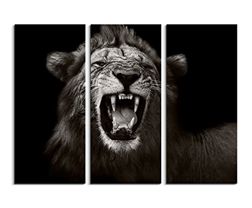 3 teiliges Bild Bilder gesamt 130x90cm Tierbilder - Brüllender afrikanischer Löwe schwarz weiß