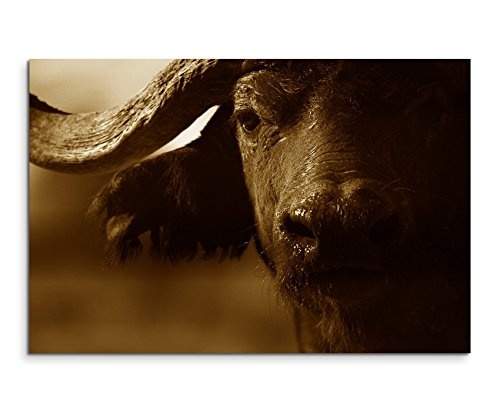 Augenblicke Wandbilder 120x80cm XXL riesige Bilder fertig gerahmt mit Keilrahmenin Sepia Portrait Eines Büffels