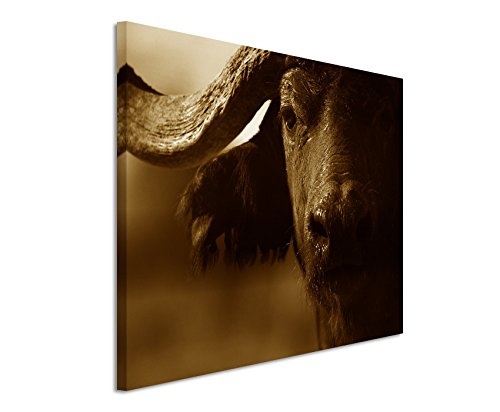 Augenblicke Wandbilder 120x80cm XXL riesige Bilder fertig gerahmt mit Keilrahmenin Sepia Portrait Eines Büffels