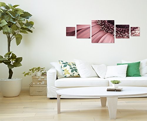 Sinus Art Wandbild 5 teilig 160x50cm - Naturfotografie - Blumen in Altrosa