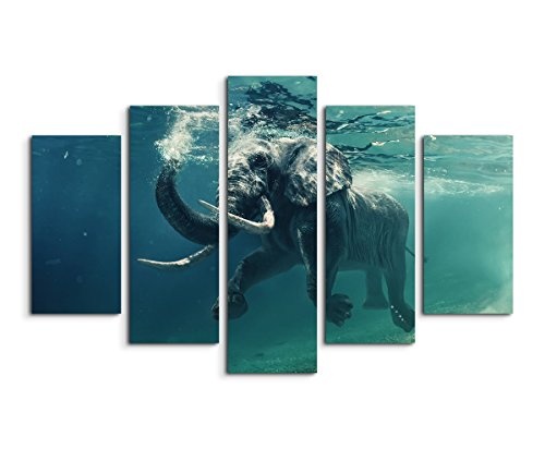 Sinus Art Wandbild 5 teilig gesamt 150x100cm Tierfotografie - Schwimmender Elefant unter Wasser