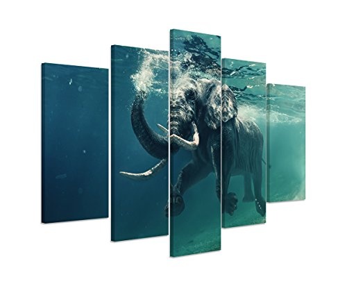 Sinus Art Wandbild 5 teilig gesamt 150x100cm Tierfotografie - Schwimmender Elefant unter Wasser
