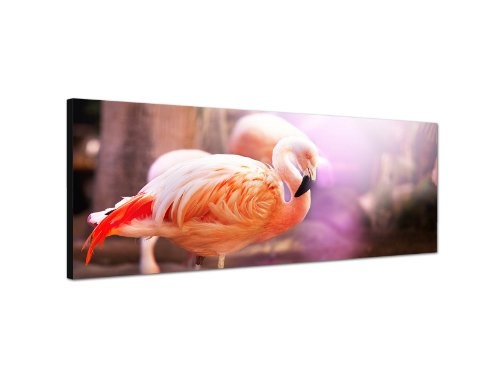 Augenblicke Wandbilder Keilrahmenbild Wandbild 150x50cm Flamingo Vogel pink