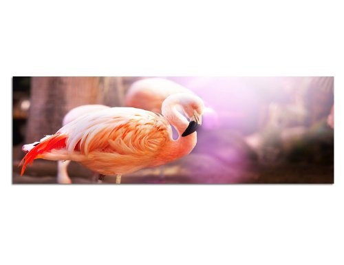 Augenblicke Wandbilder Keilrahmenbild Wandbild 150x50cm Flamingo Vogel pink