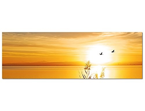 Augenblicke Wandbilder Keilrahmenbild Wandbild 150x50cm See Gräser Vögel Sonnenuntergang