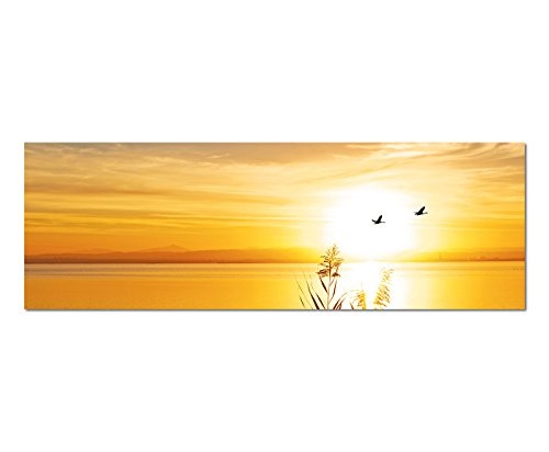 Augenblicke Wandbilder Leinwandbild als Panorama in 150x50cm See Gräser Vögel Sonnenuntergang