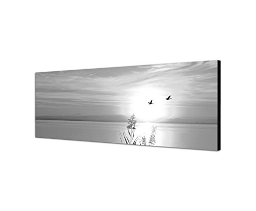 Augenblicke Wandbilder Keilrahmenbild Panoramabild SCHWARZ/Weiss 150x50cm See Gräser Vögel Sonnenuntergang