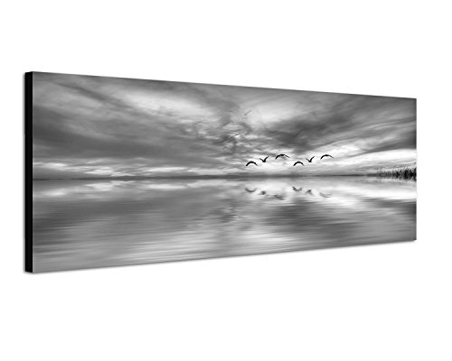 Augenblicke Wandbilder Keilrahmenbild Panoramabild SCHWARZ/Weiss 150x50cm Meer Himmel Wolken Vögel