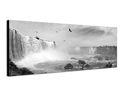 Augenblicke Wandbilder Keilrahmenbild Panoramabild SCHWARZ/Weiss 150x50cm Brasilien Wasserfälle Vögel Wolkenschleier