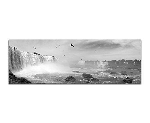 Augenblicke Wandbilder Keilrahmenbild Panoramabild SCHWARZ/Weiss 150x50cm Brasilien Wasserfälle Vögel Wolkenschleier