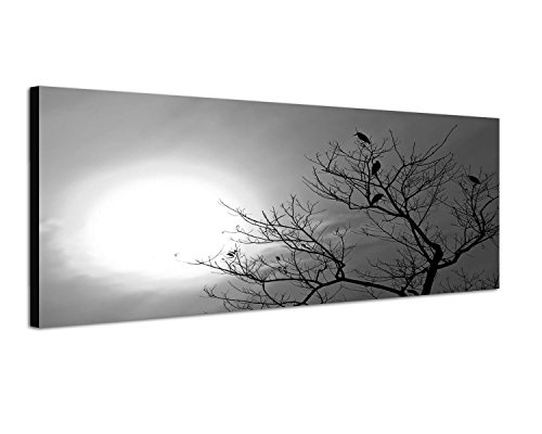 Augenblicke Wandbilder Keilrahmenbild Panoramabild SCHWARZ/Weiss 150x50cm Nepal Baum Vögel Sonnenuntergang