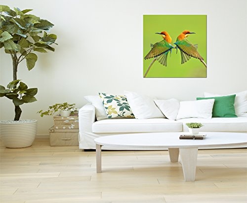 80x80cm - Fotodruck auf Leinwand und Rahmen Vögel Bienenfresser Pärchen - Leinwandbild auf Keilrahmen modern stilvoll - Bilder und Dekoration