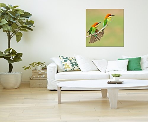 80x80cm - Fotodruck auf Leinwand und Rahmen Bienenfresser Vögel Pärchen Zweig - Leinwandbild auf Keilrahmen modern stilvoll - Bilder und Dekoration