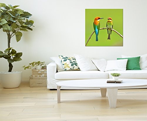 80x80cm - Fotodruck auf Leinwand und Rahmen Vögel Pärchen Bienenfresser Zweig - Leinwandbild auf Keilrahmen modern stilvoll - Bilder und Dekoration