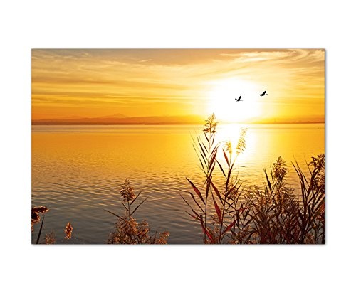 120x80cm - Fotodruck auf Leinwand und Rahmen See Schilf Vögel Sonne Sommer - Leinwandbild auf Keilrahmen modern stilvoll - Bilder und Dekoration