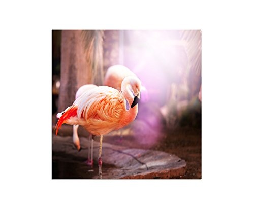 120x80cm - Fotodruck auf Leinwand und Rahmen Flamingo Vogel pink - Leinwandbild auf Keilrahmen modern stilvoll - Bilder und Dekoration