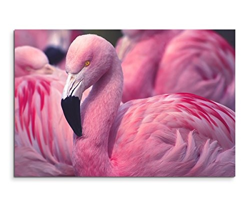 Sinus Art Wandbild 120x80cm Tierfotografie - Pinker Flamingo in der Gruppe