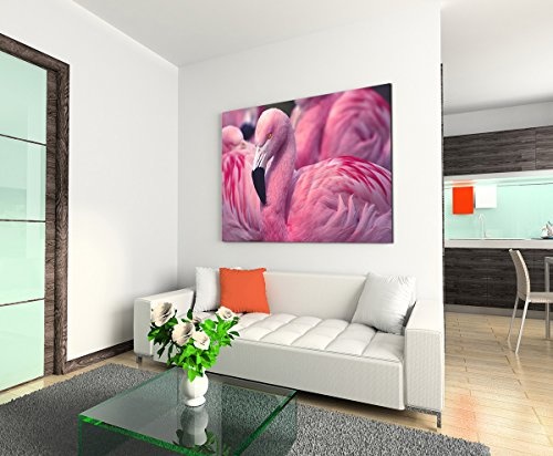Sinus Art Wandbild 120x80cm Tierfotografie - Pinker Flamingo in der Gruppe