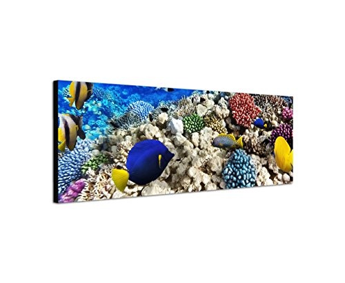 Augenblicke Wandbilder Keilrahmenbild Wandbild 150x50cm Unterwasser Riff Fische Korallen