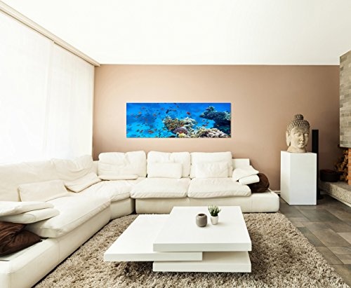 Augenblicke Wandbilder Keilrahmenbild Wandbild 150x50cm Meer Riff Korallen Fische