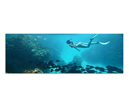 Augenblicke Wandbilder Leinwandbild als Panorama in 150x50cm Meer Korallenriff Fische Taucherin Palmen