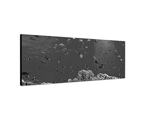 Augenblicke Wandbilder Keilrahmenbild Panoramabild SCHWARZ/Weiss 150x50cm Meer Unterwasser Riff Korallen Fische