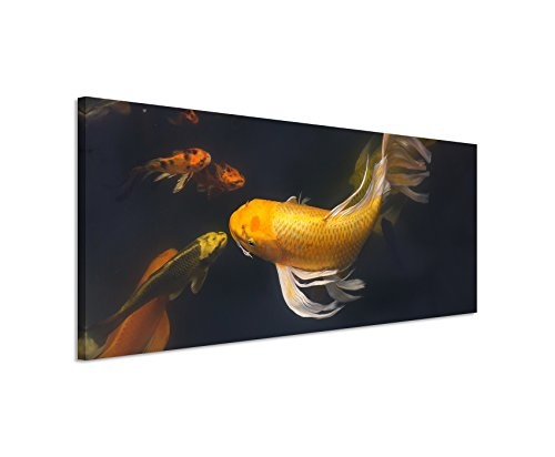 Wunderschönes Wandbild 150x50cm Tierbilder - Schwimmende Koifische