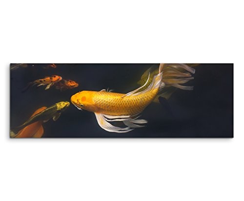 Wunderschönes Wandbild 150x50cm Tierbilder - Schwimmende Koifische