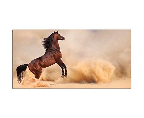 120x60cm - Fotodruck auf Leinwand und Rahmen Pferd Wüste Sandsturm Arabien - Leinwandbild auf Keilrahmen modern stilvoll - Bilder und Dekoration