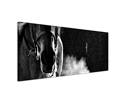 Wunderschönes Wandbild 150x50cm Tierbilder - Schnaubendes Pferd mit Reiter schwarz weiß