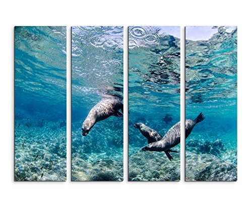 Fotoleinwand 4Teile je 90x30cm Tierfotografie - Kalifornische Seelöwen unter Wasser