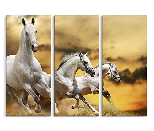 3x40x90cm (Gesamt:130x90cm) 3teiliges Bild auf Leinwand Pferde Wiese Wolken Abendrot Wandbild auf Leinwand als Panorama