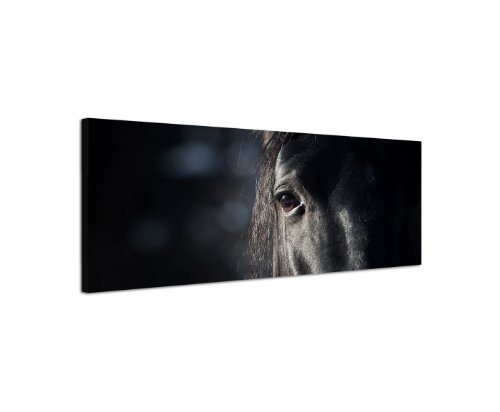 Pferd Pferdekopf 150x50cm Panorama Wandbild auf Leinwand und Keilrahmen fertig zum aufhängen - Unsere Bilder auf Leinwand bestechen durch ihre ungewöhnlichen Formate und den extrem detaillierten Druck aus bis zu 100 Megapixel hoch aufgelösten Fotos.