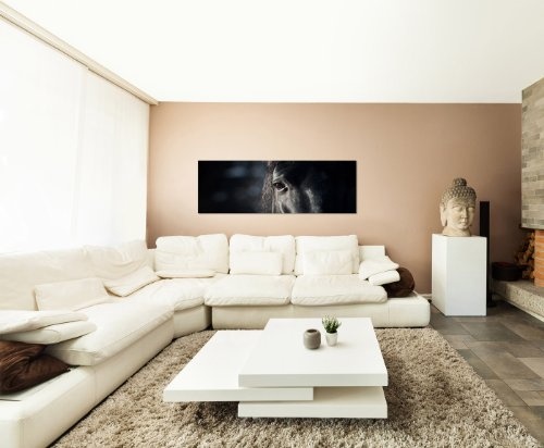 Pferd Pferdekopf 150x50cm Panorama Wandbild auf Leinwand und Keilrahmen fertig zum aufhängen - Unsere Bilder auf Leinwand bestechen durch ihre ungewöhnlichen Formate und den extrem detaillierten Druck aus bis zu 100 Megapixel hoch aufgelösten Fotos.