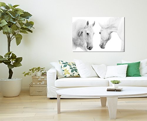 Sinus Art Wandbild 120x80cm Tierfotografie - Weiße Pferde auf weißem Grund