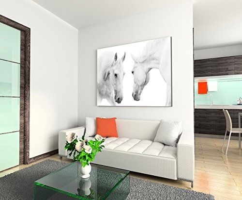 Sinus Art Wandbild 120x80cm Tierfotografie - Weiße Pferde auf weißem Grund
