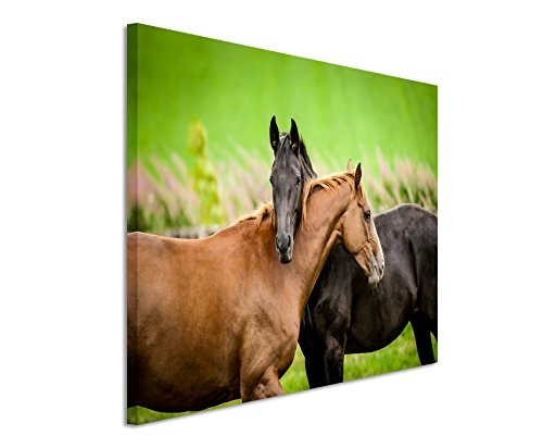 Fotoleinwand 120x80cm Tierbilder - Zwei befreundete Pferde