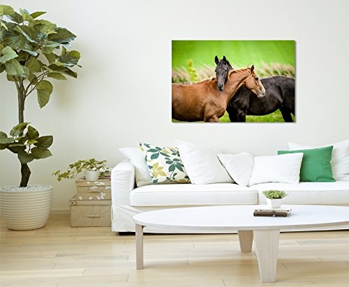 Fotoleinwand 120x80cm Tierbilder - Zwei befreundete Pferde