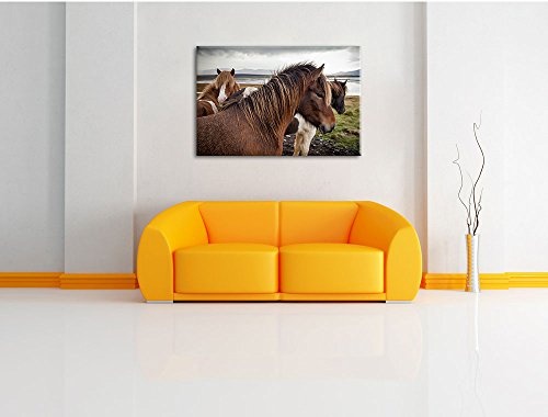 Herde aus schönen Wildpferden, Format: 100x70 auf...